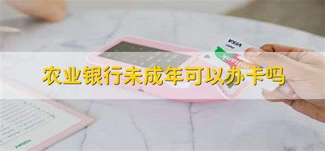 中国农业银行信用卡办理提额贷款技巧，一张农业银行储蓄卡就可以满足 - 知乎