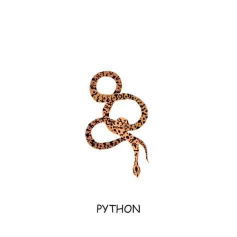 Image result for African Python Clip Art