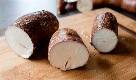 Image result for Tapioca Fiber