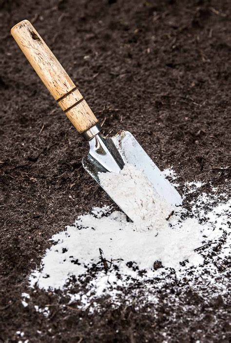 How to Adjust Garden Soil Acidity - Plantglossary