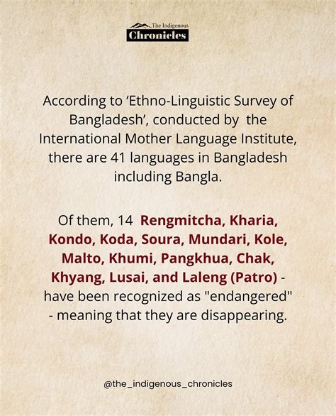 The Indigenous Chronicles (TIC) | Through language, we dream, we love, we resist, we belong and ...