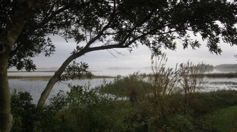 THE INLET AT LANIER POINTE (Surf City) - Campground Reviews & Photos ...