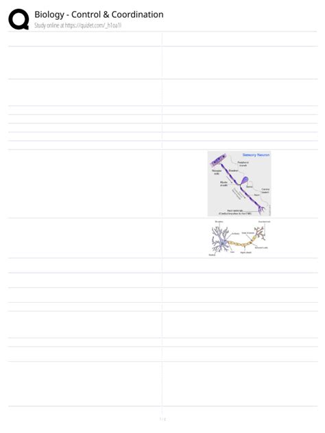 Image result for Control and Coordination Notes From PDF