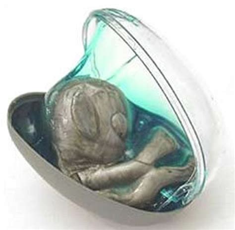 Image result for Alien Egg Insert