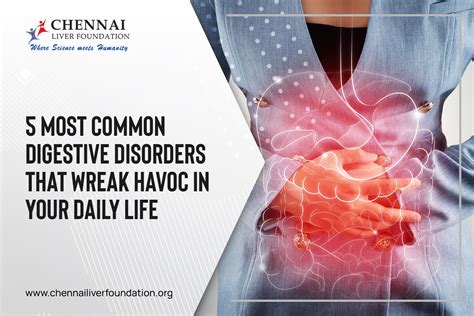 Common Digestive Disorders 的图像结果