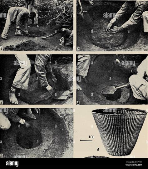 The 'Annals of the South African Museum' (1972) publishes research on natural history, including ...