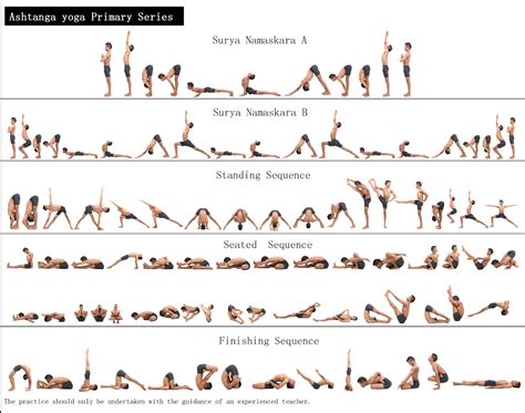 ashtanga yoga primary series | 요가