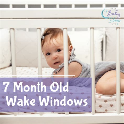 6 Month Old Wake Windows: Ideal Length and Better Baby Sleep | The Baby ...
