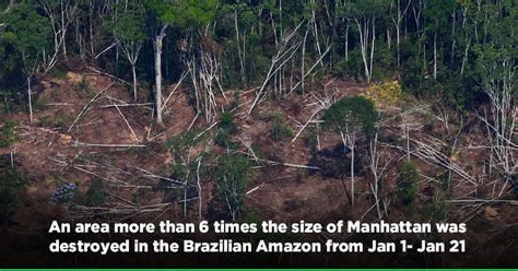 Brazil: Amazon, World's Biggest Rainforest, Records Worst-ever ...