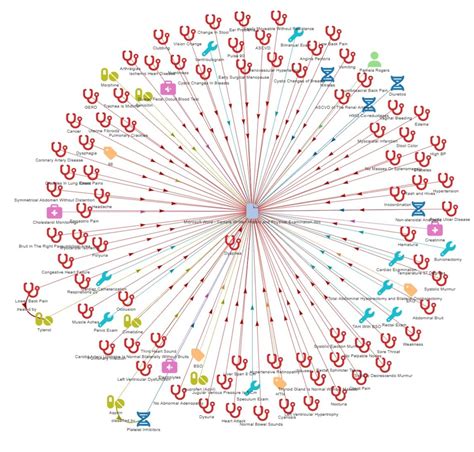 Mimic Knowledge Graph 的图像结果