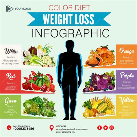 Premium Vector | Weight loss infographic color diet fruits vegetables