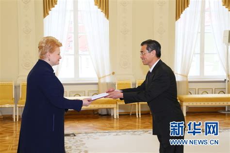 中国新任驻立陶宛大使向立总统递交国书（组图）-新华网