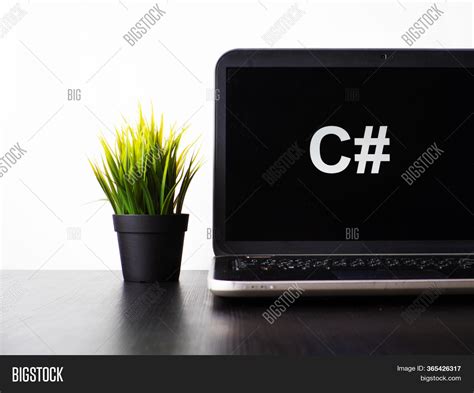 Computer Programming C# Program 的图像结果