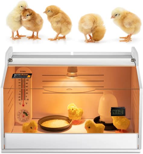 Amazon.com: Proshine Chicken Brooder Box for Chicks, Quail Brooder with ...