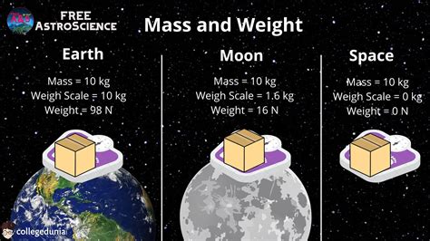 Understanding Mass and Weight: What's the Difference?