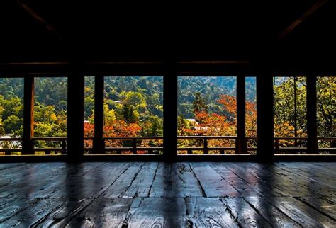 Real background Images - Free Download on Freepik