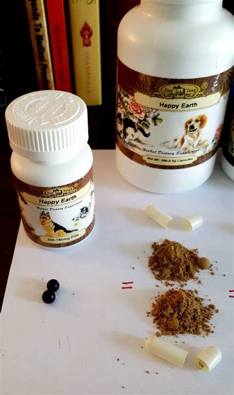 How to Give Traditional Chinese Herbal Medicine to Your Dog or Cat | Dr ...