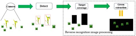 Research on Weed Reverse Detection Methods Based on Improved You Only ...
