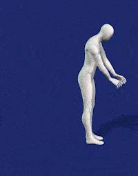 Image result for Free Falling Cycle Animation