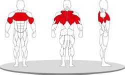 Top and Best Dip / Chin Assist E-1009