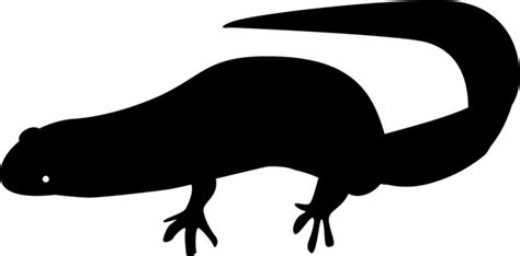 Image result for Palindrome Python Using LEN Function