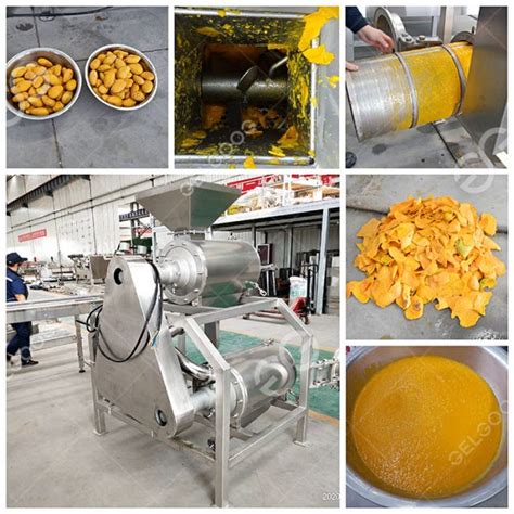 Mango Pulp Machine 的图像结果