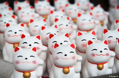 Maneki Neko Bonjour Kitty Maneki Neko – Donkey Products
