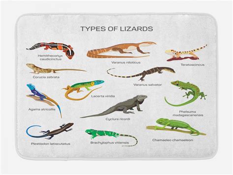 Image result for Lizard CPR