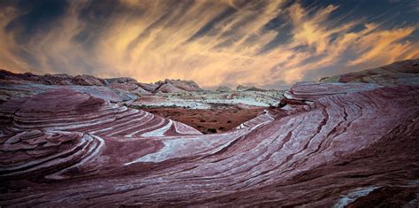Pin on Natura | Valley of fire state park, Valley of fire, State parks - wildlife in valley of fire state park