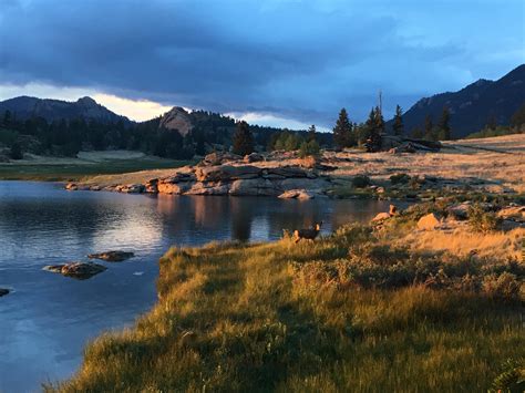 Eleven Mile Reservoir