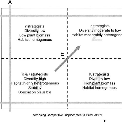 Image result for Dynamic Equilibrium Model