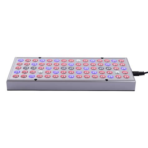 Buy 2000W LED Plant Light For All Indoor Plant Light Growth Lamp Online ...