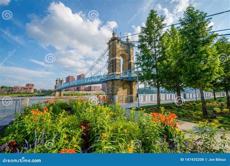 Flowers and the John a. Roebling Suspension Bridge in Cincinnati, Ohio ...