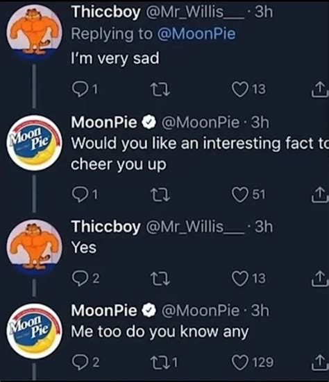 Sadness and a Lack of Interesting Facts - Memes - Worst Jokes Ever