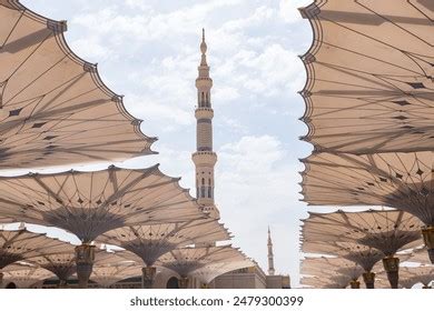 Image result for Prophet Muhammad Tomb