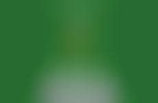 33 Examples of Multicultural Marketing