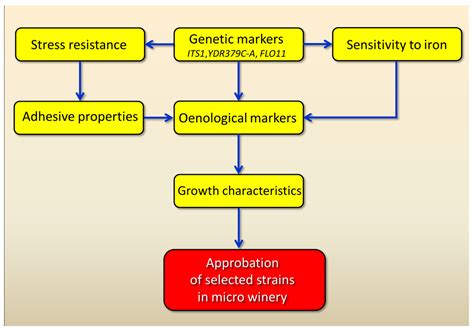 Sherry Wines: Worldwide Production, Chemical Composition and Screening ...