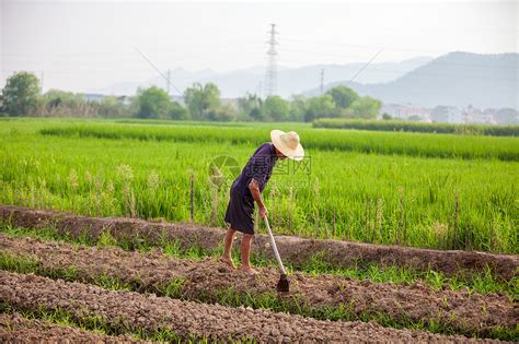 农村种植什么能致富？高利润经济作物有哪些-致富经-中国花木网