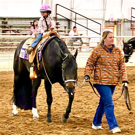 NMQHA – NEW MEXICO QUARTER HORSE ASSOCIATION
