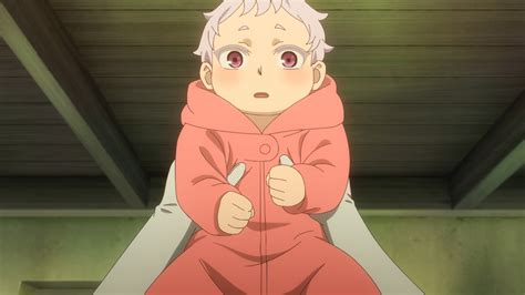 Image result for Ancient Magus Bride Season 2 Characters