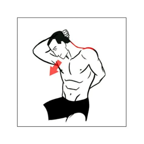 Scapula Stretching 的图像结果