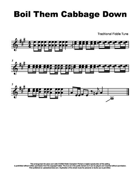 Boil Cabbage Down Violin at Victoria Gregory blog