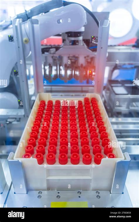 Biological Experiments 的图像结果