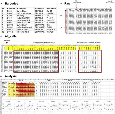 Image result for DataTable Analysis Excel