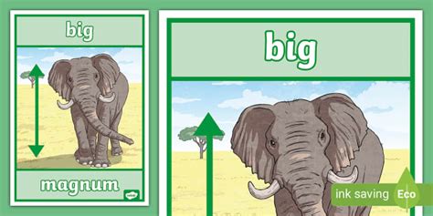 👉 Latin Word for Big Display Poster