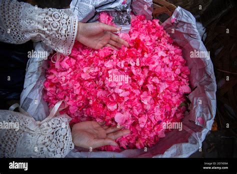 Bali Flower Market 的图像结果