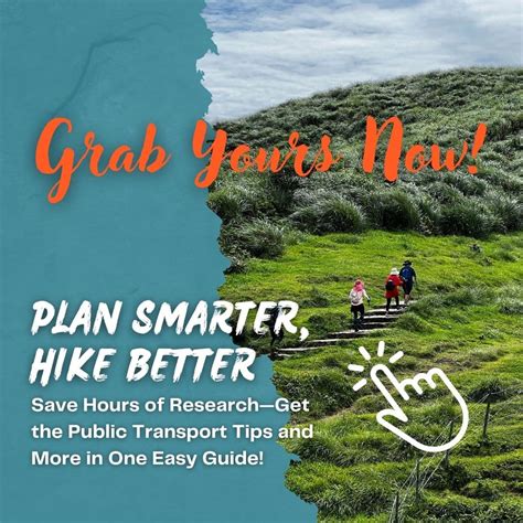 Alishan Hiking Guide: Discovering Alishan's Best Trails