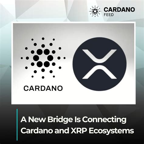 A New Bridge Is Connecting Cardano and XRP Ecosystems | Cardano Feed