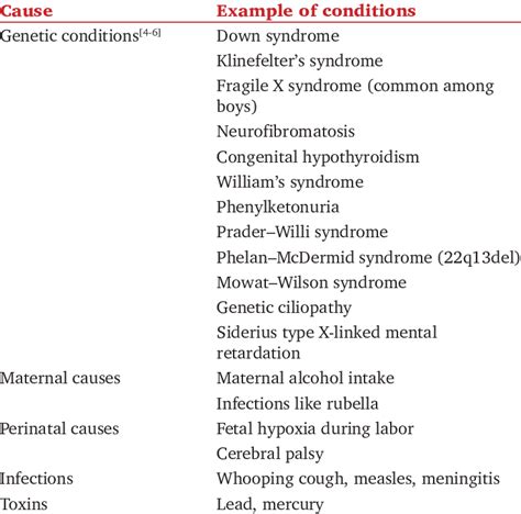 Image result for Intellectual Disability Causes
