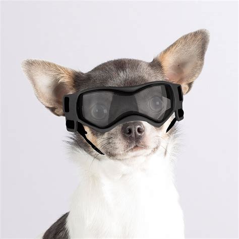 The Best Dog Goggles - Top Picks & Buying Guide